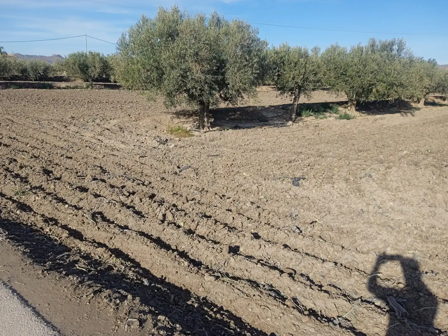 Rural land for sale in Puerto Lumbreras, imagen 4
