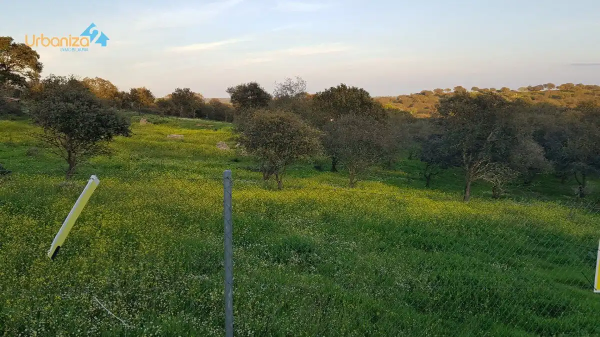 Terreni e lotti in vendita a Calle hortelano, imagen 7
