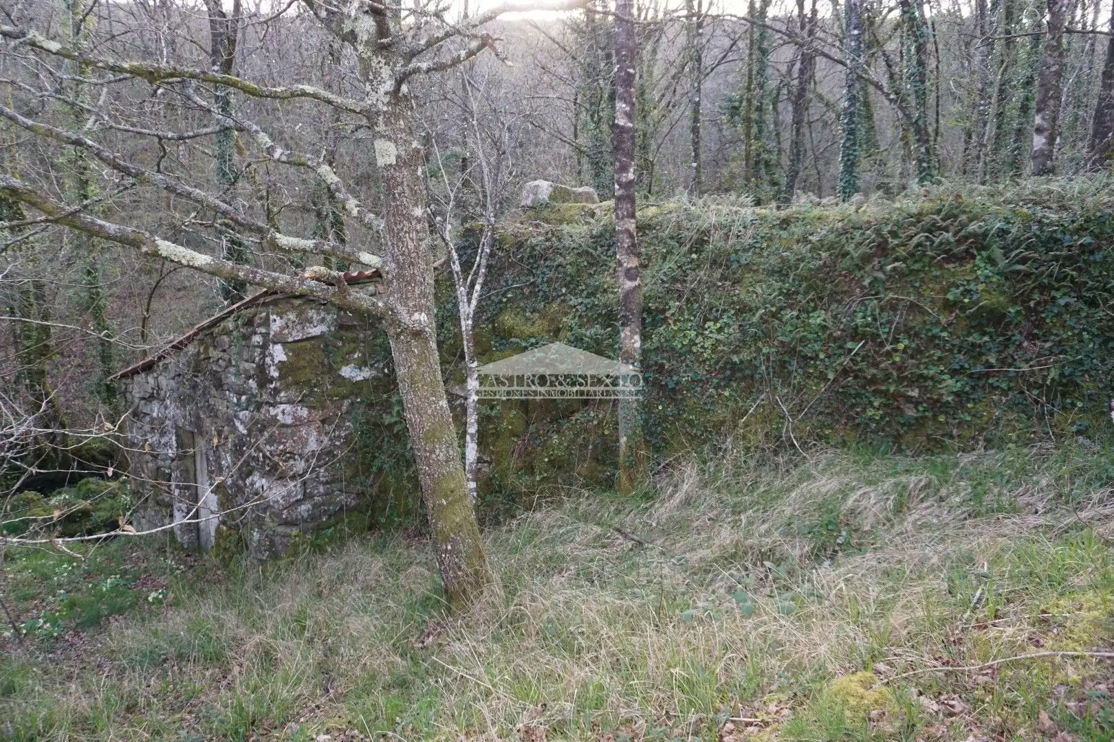 Casa rustica in vendita a Palas de Rei, imagen 31
