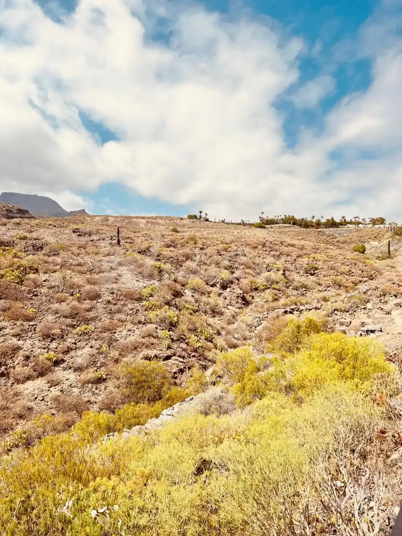 Apartament en venda a Chayofa