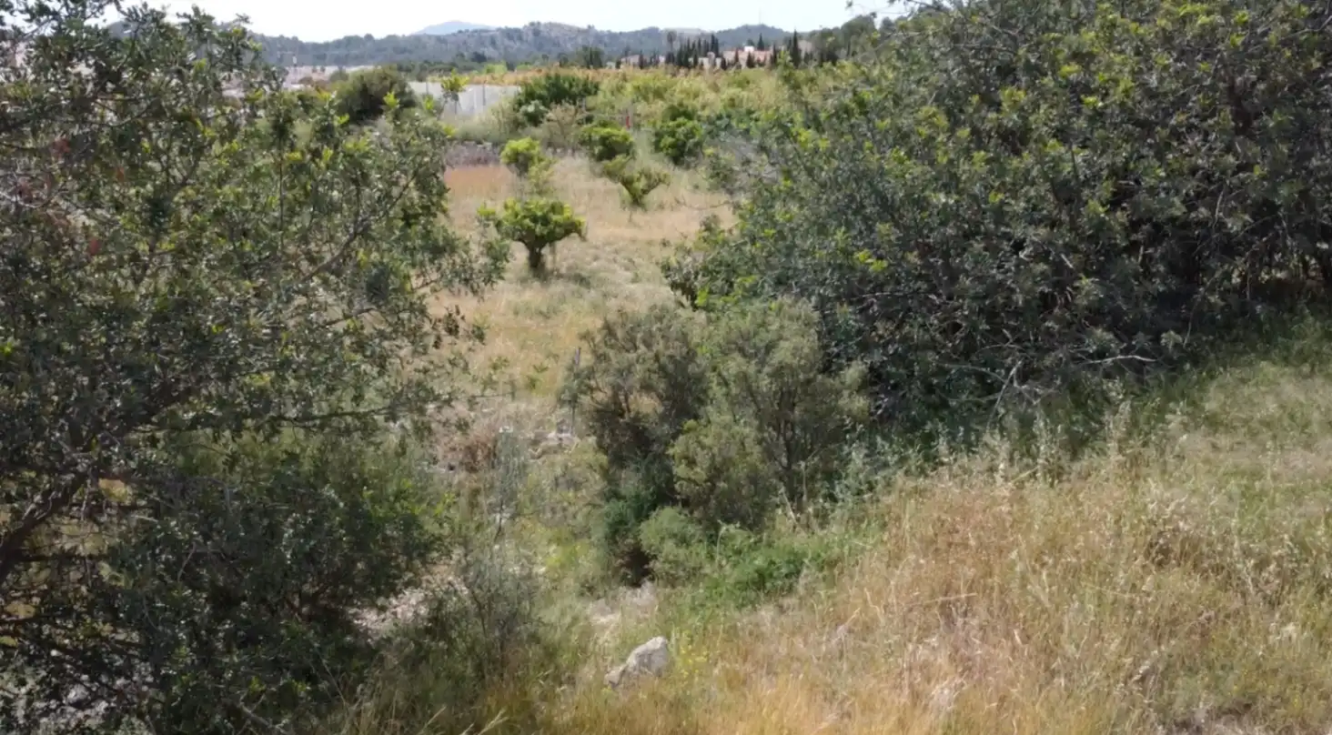 Terrain résidentiel à vendre à Casco urbano, imagen 6
