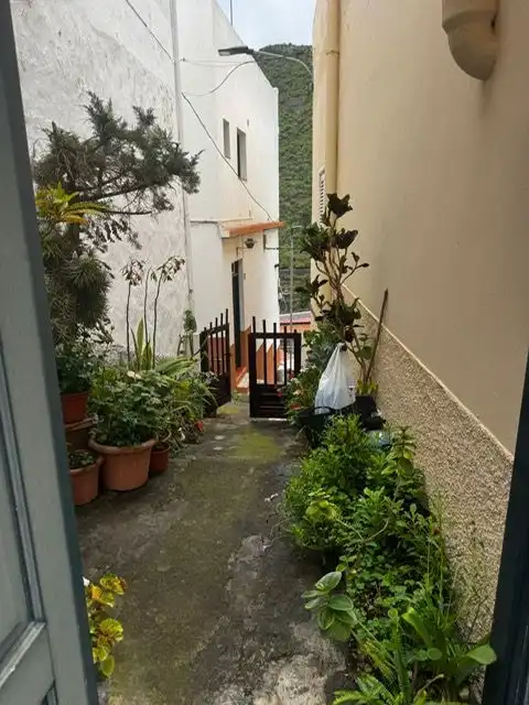 Vista exterior de Finca rústica en venta en Hermigua