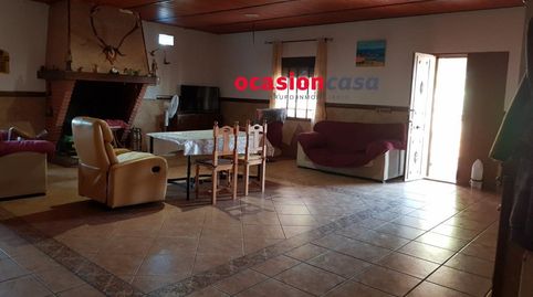 FINCA DE OLIVOS Y ENCINAR CON VIVIENDA, immagine 4