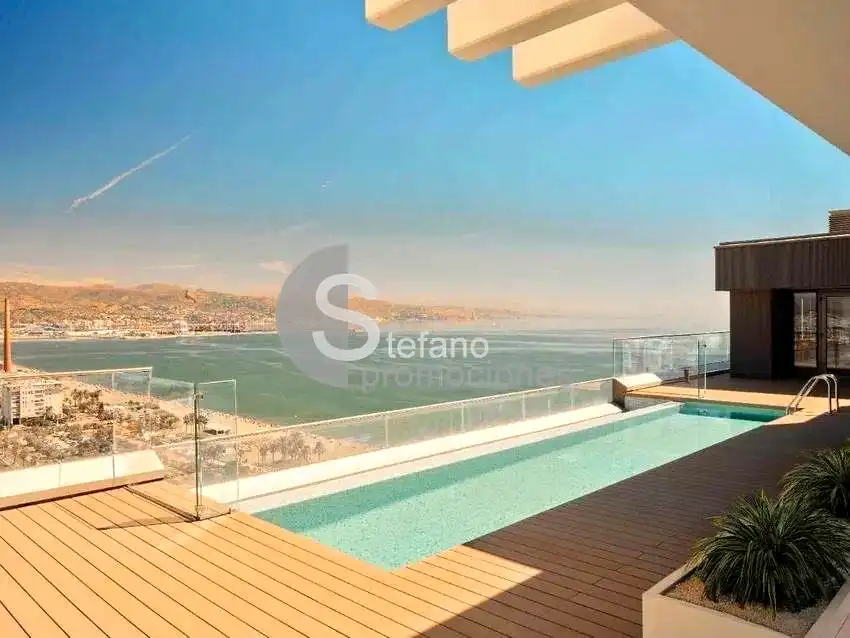 Attique avec piscine à vendre à Calle Pacífico