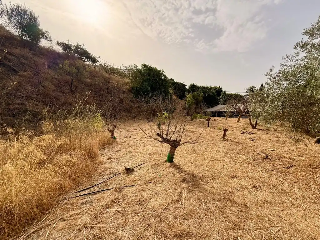 Casa o chalet en venta en Viñuela