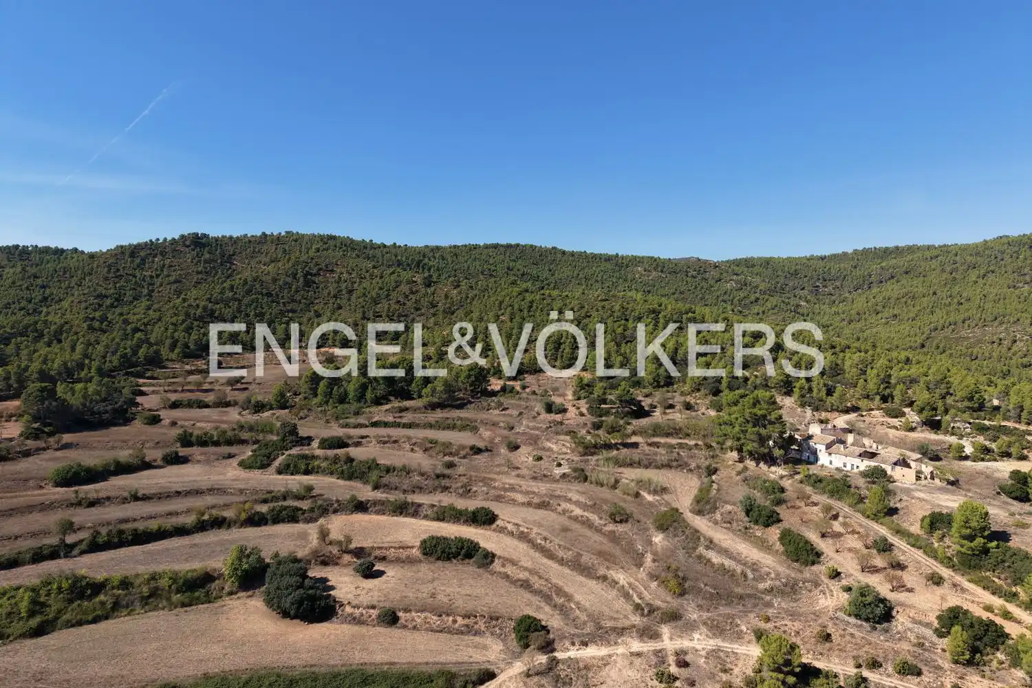 Terrain rustique à vendre à Requena, imagen 41