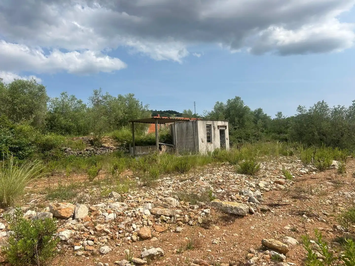 Terreno rustico in vendita a Freginals, imagen 2