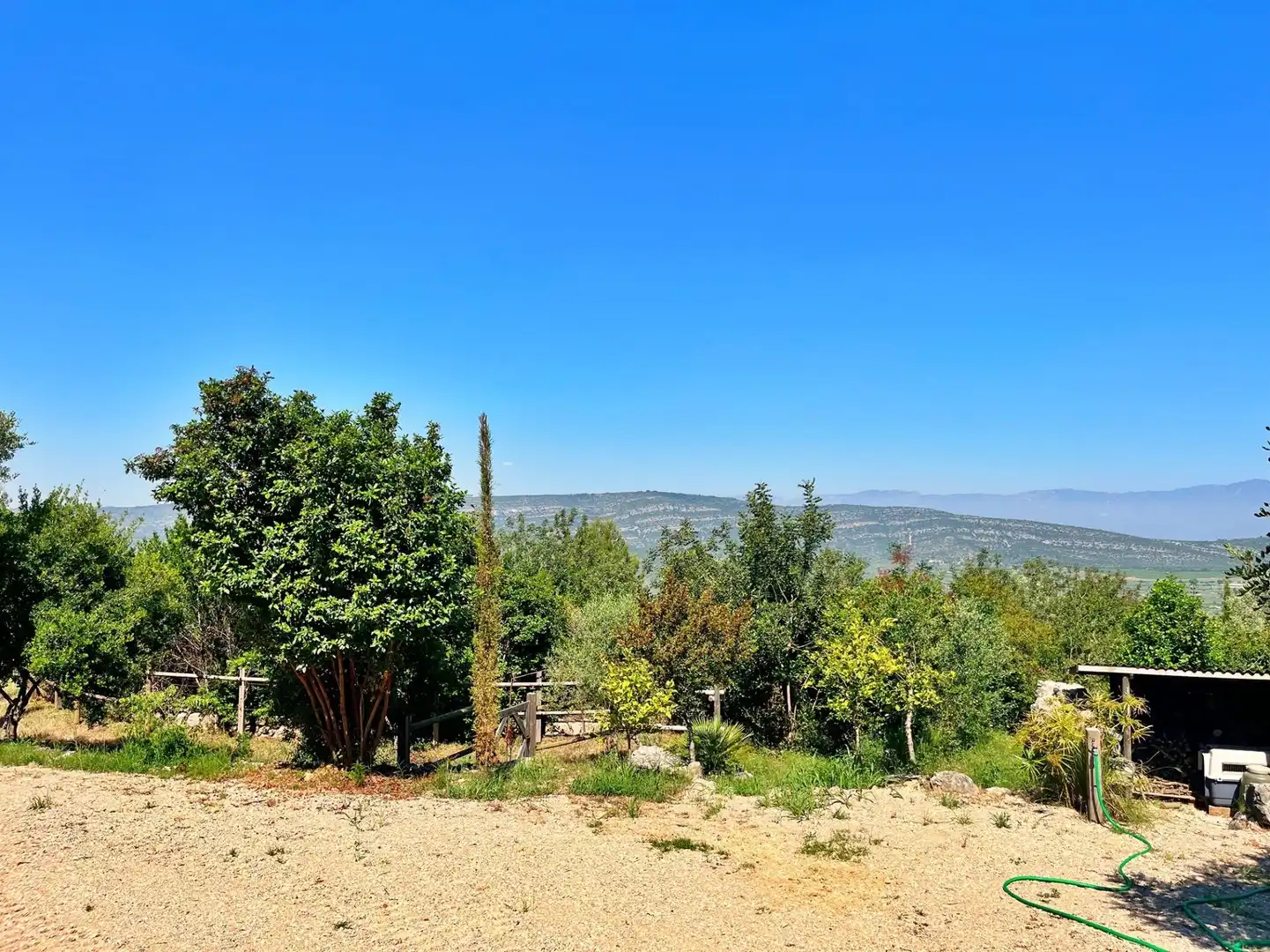 Villa in vendita a Freginals, imagen 41