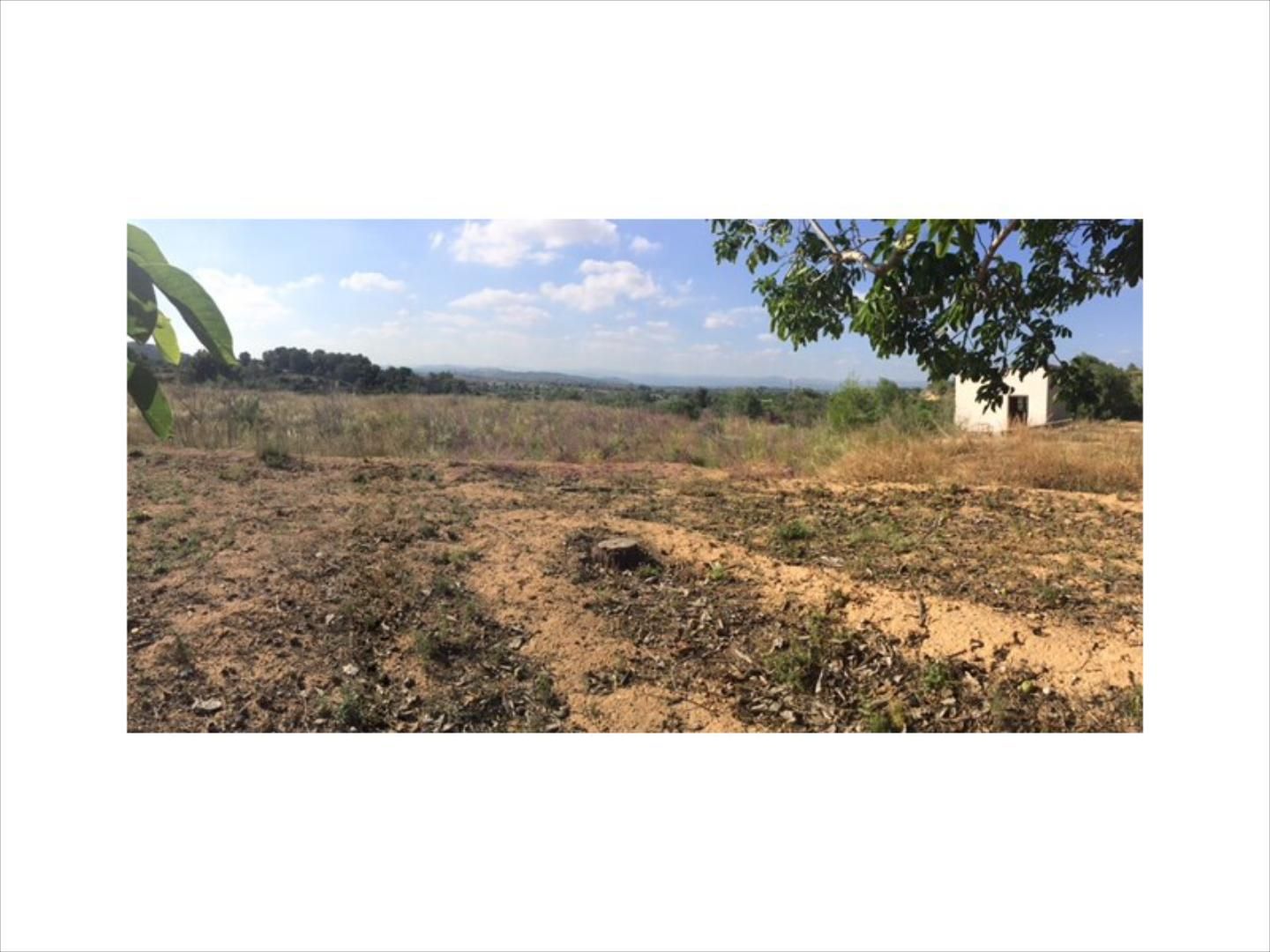 Casa o xalet en venda a Vilamarxant