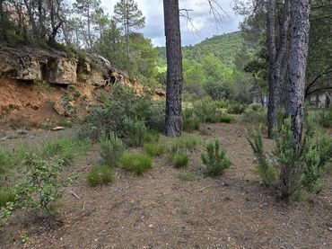 Terreno residencial en venta en Trillo