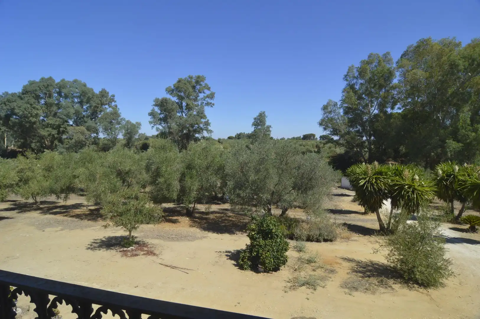 Casa rústica amb jardí en venda a Marchena, imagen 39