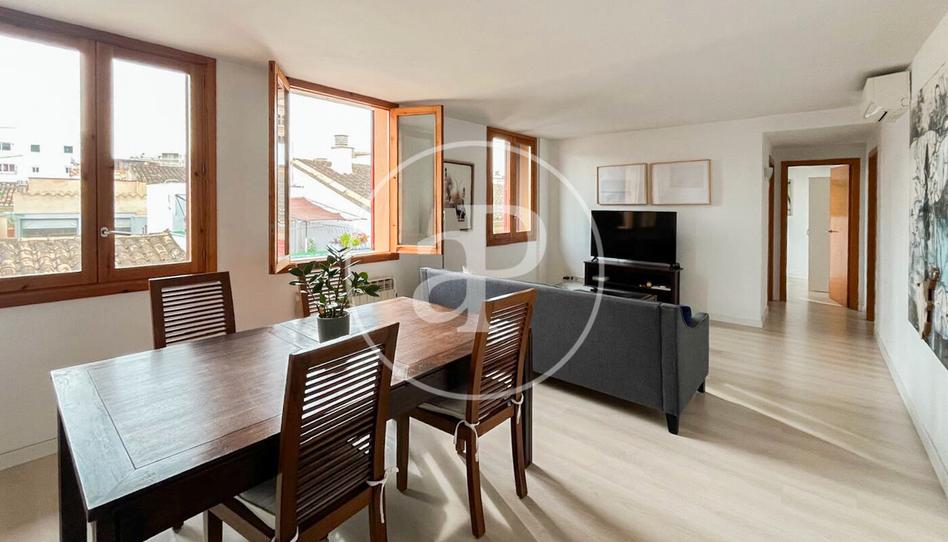 Photo 1 of Flat to rent in El Sindicat, Illes Balears