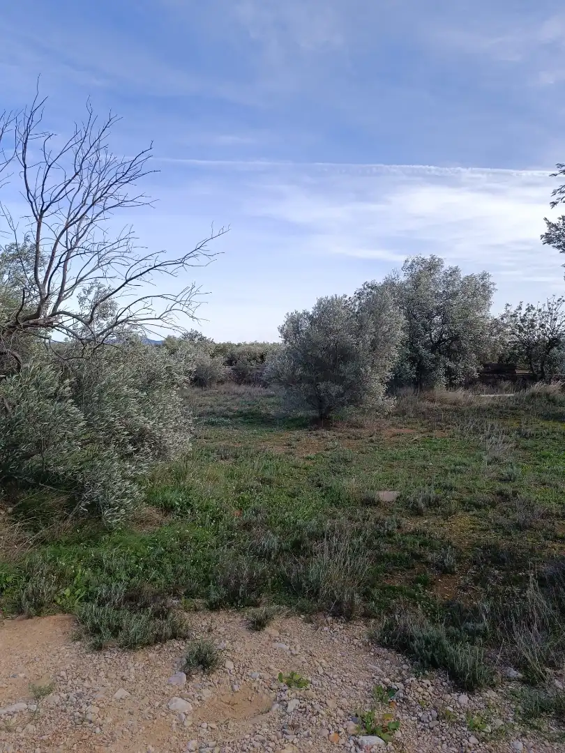 Terreno rustico in vendita a Canet lo Roig, imagen 10
