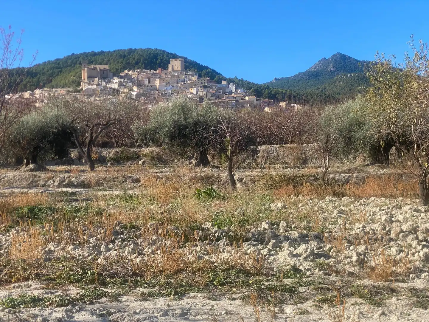 Terreni e lotti in vendita a Moratalla, imagen 3