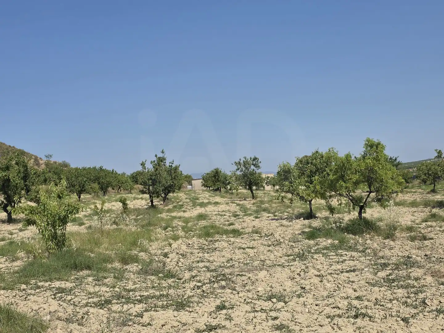 Terrenys i solars en venda a Cehegín, imagen 4
