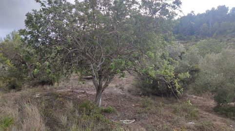 Foto 2 de Residencial en venta en Benimeit - Tabaira, Moraira