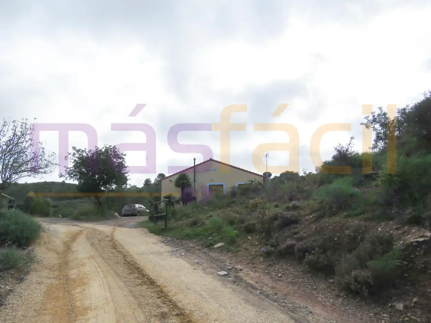 Finca rústica en venta en los Jarales, Perín