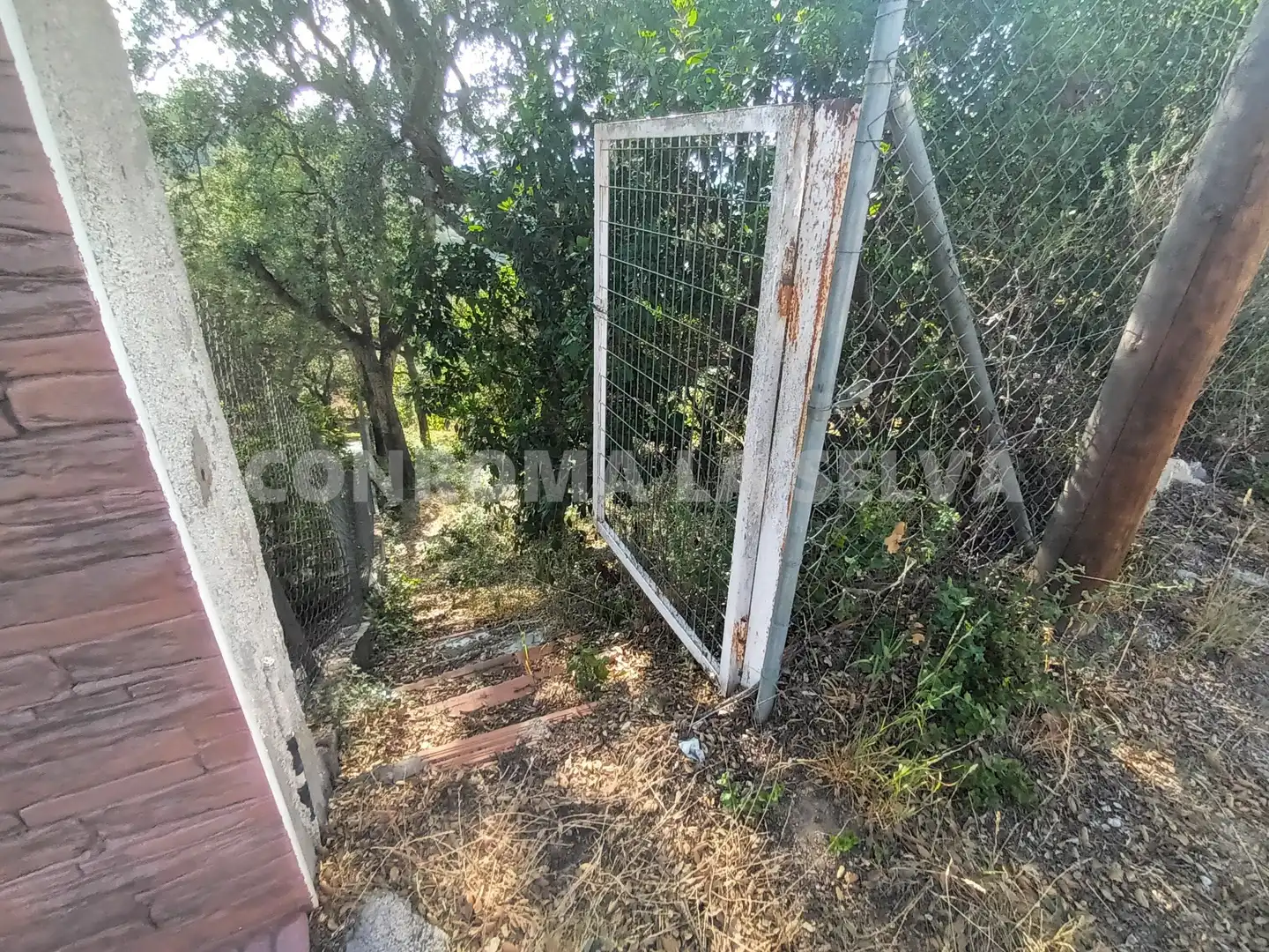 Residential land for sale in Montbarbat, imagen 9
