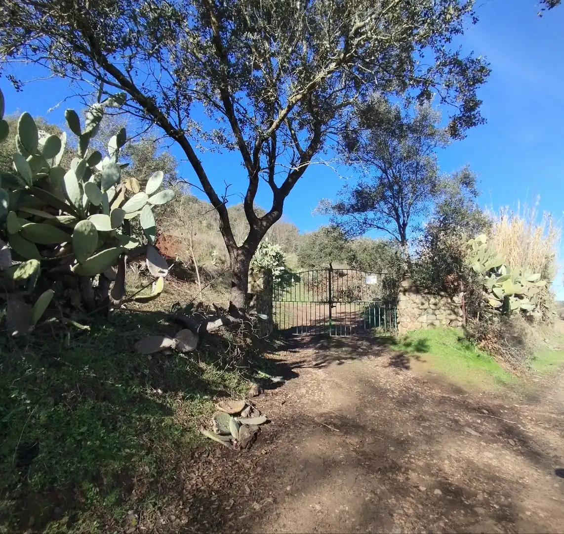 Jardín de Finca rústica en venta en Valverde de Mérida con Trastero, Piscina y Piscina comunitaria