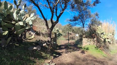 Foto 3 de Finca rústica en venta en Valverde de Mérida, Badajoz