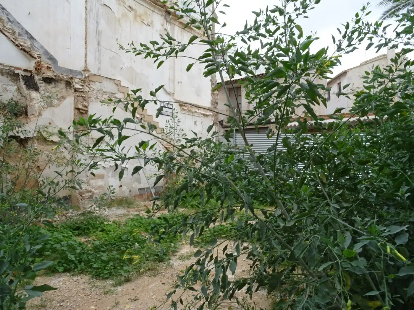 Terreno residencial en venta en Aspe Centro, imagen 3