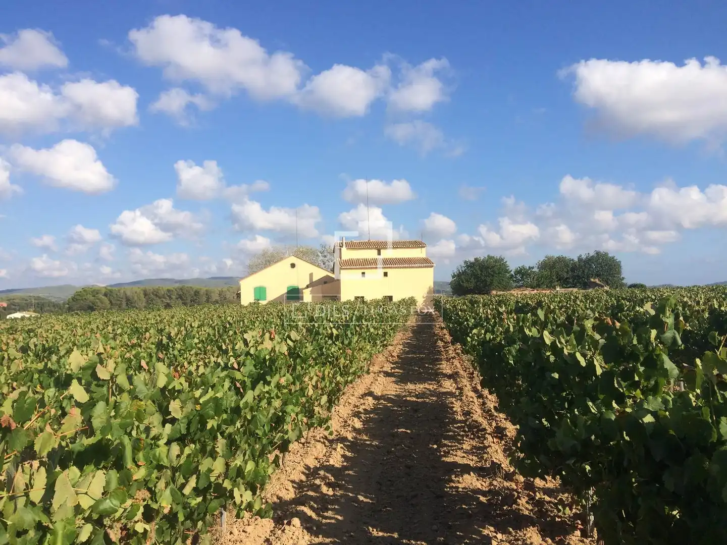 Casa rustica con giardino in vendita a Castellet i la Gornal, imagen 5