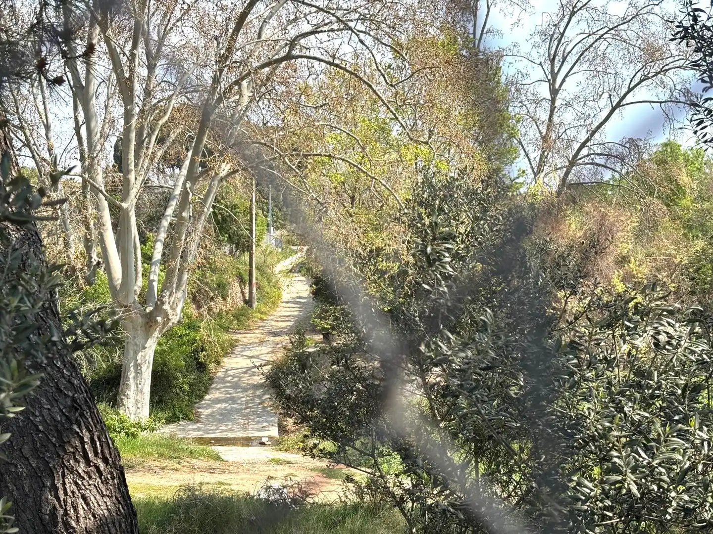 Rural land for sale in Santa Oliva, imagen 16