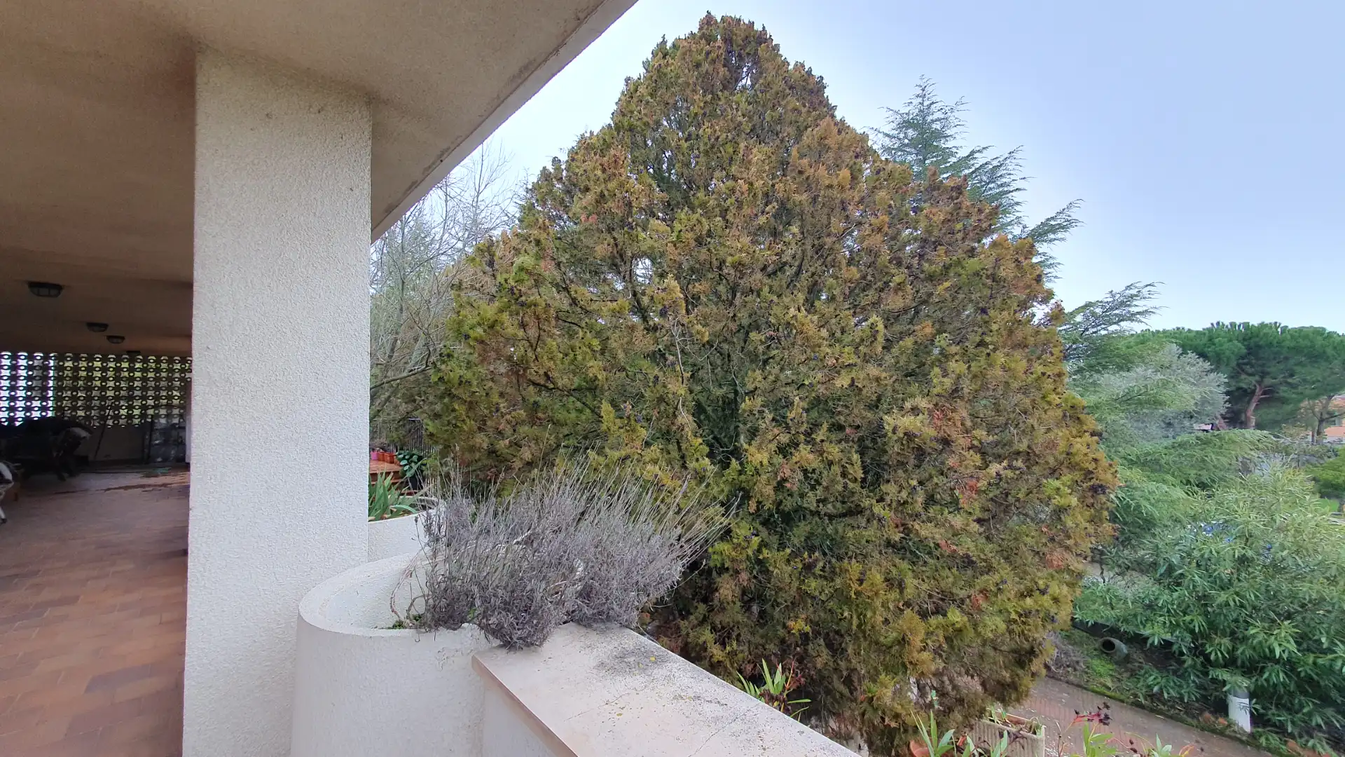 Villa avec terrasse à vendre à Pino Alto - Navarredonda, imagen 151