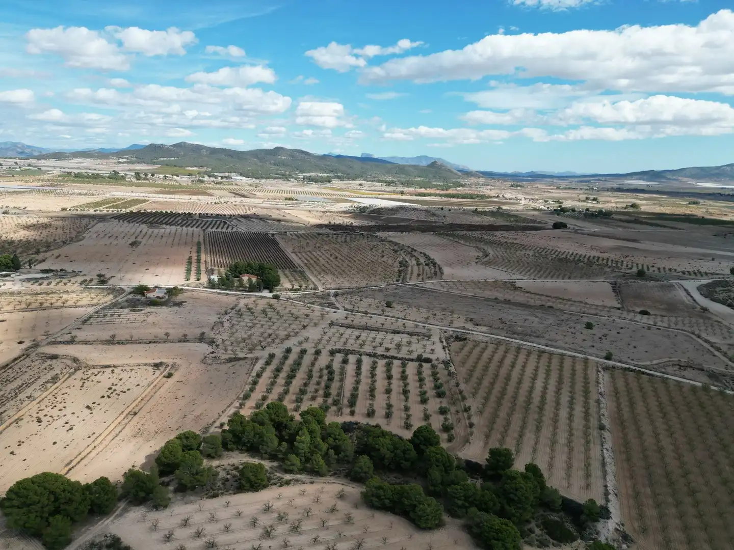 Terreno residencial en venta en El Pinós / Pinoso, imagen 3
