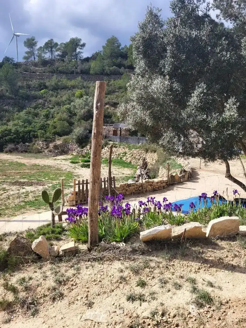 Jardí de Finca rústica en venda en Corbera d'Ebre