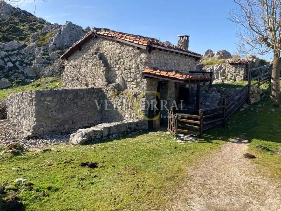 Vista exterior de Casa o chalet en venta en Peñamellera Alta con Calefacción y Amueblado