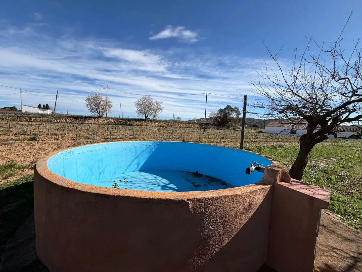 Piscina de Finca rústica en venda en Olèrdola amb Jardí privat i Traster
