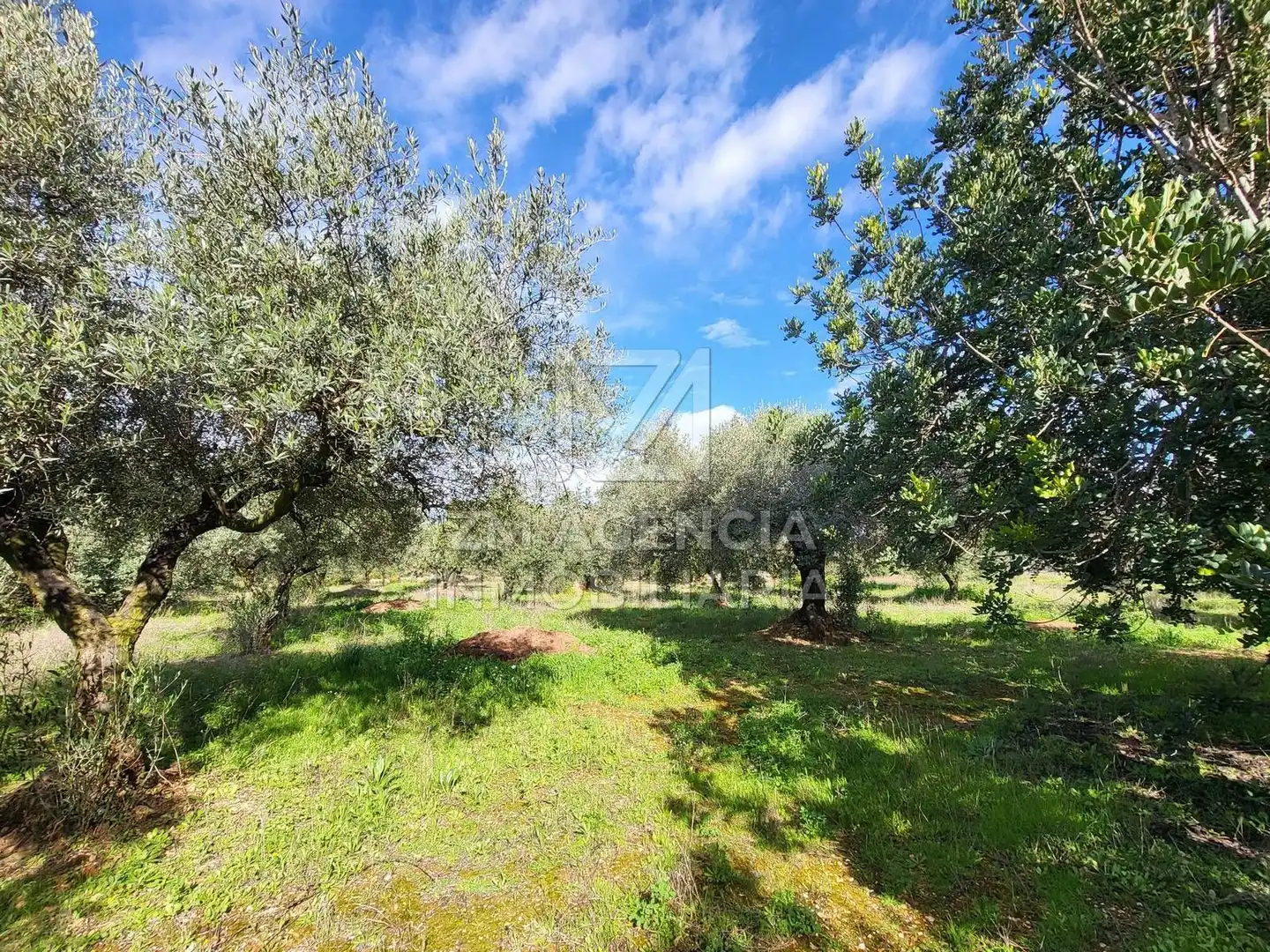 Rural land for sale in Vilarets