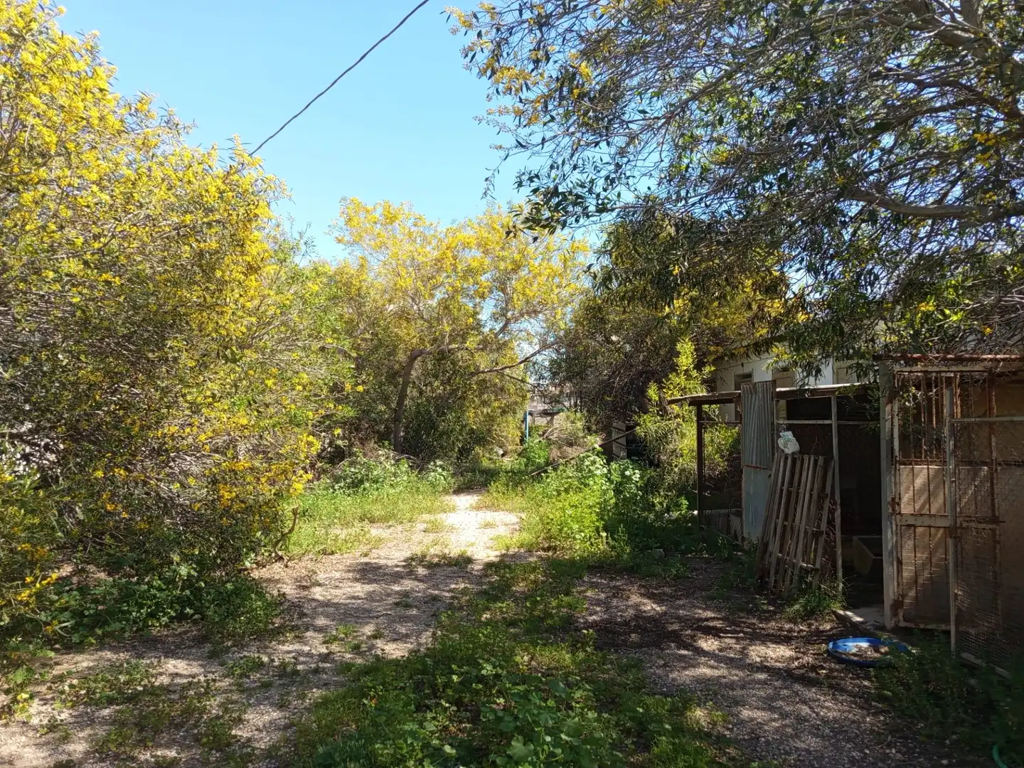 Nave industrial en venta en Fuente Álamo de Murcia