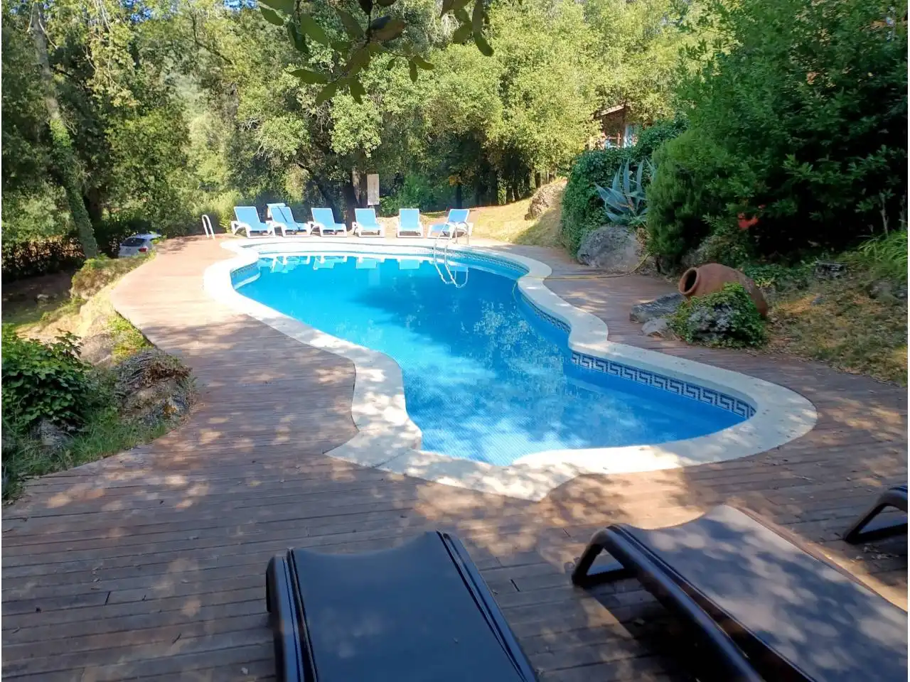 Piscina de Casa o xalet en venda en La Vall de Bianya