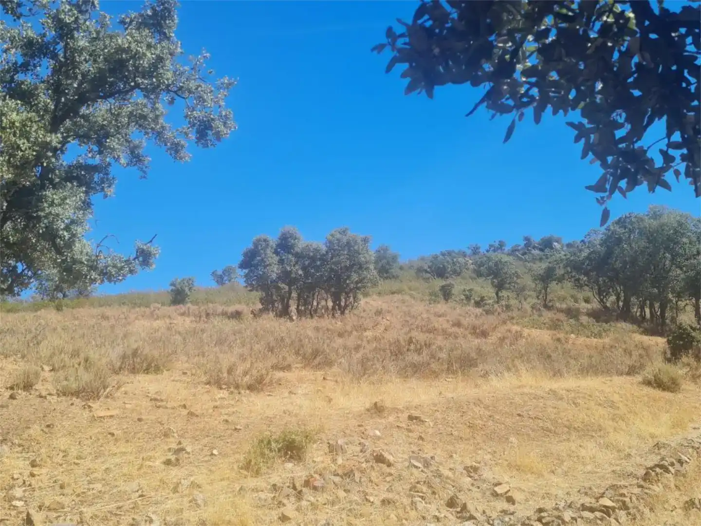 Terreno en venta en Espinoso del Rey, Toledo