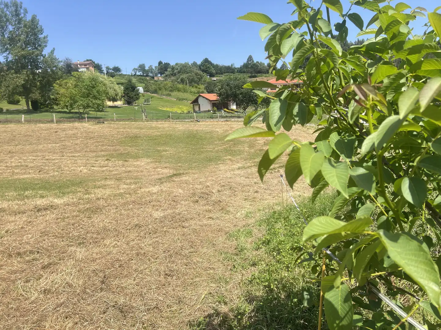 Lands and plots for sale in Pillarno, imagen 20