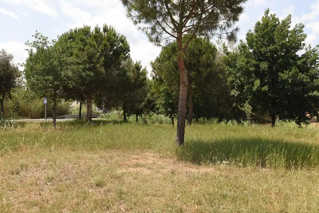 Terreno rústico en venta en Lliçà de Vall, imagen 9