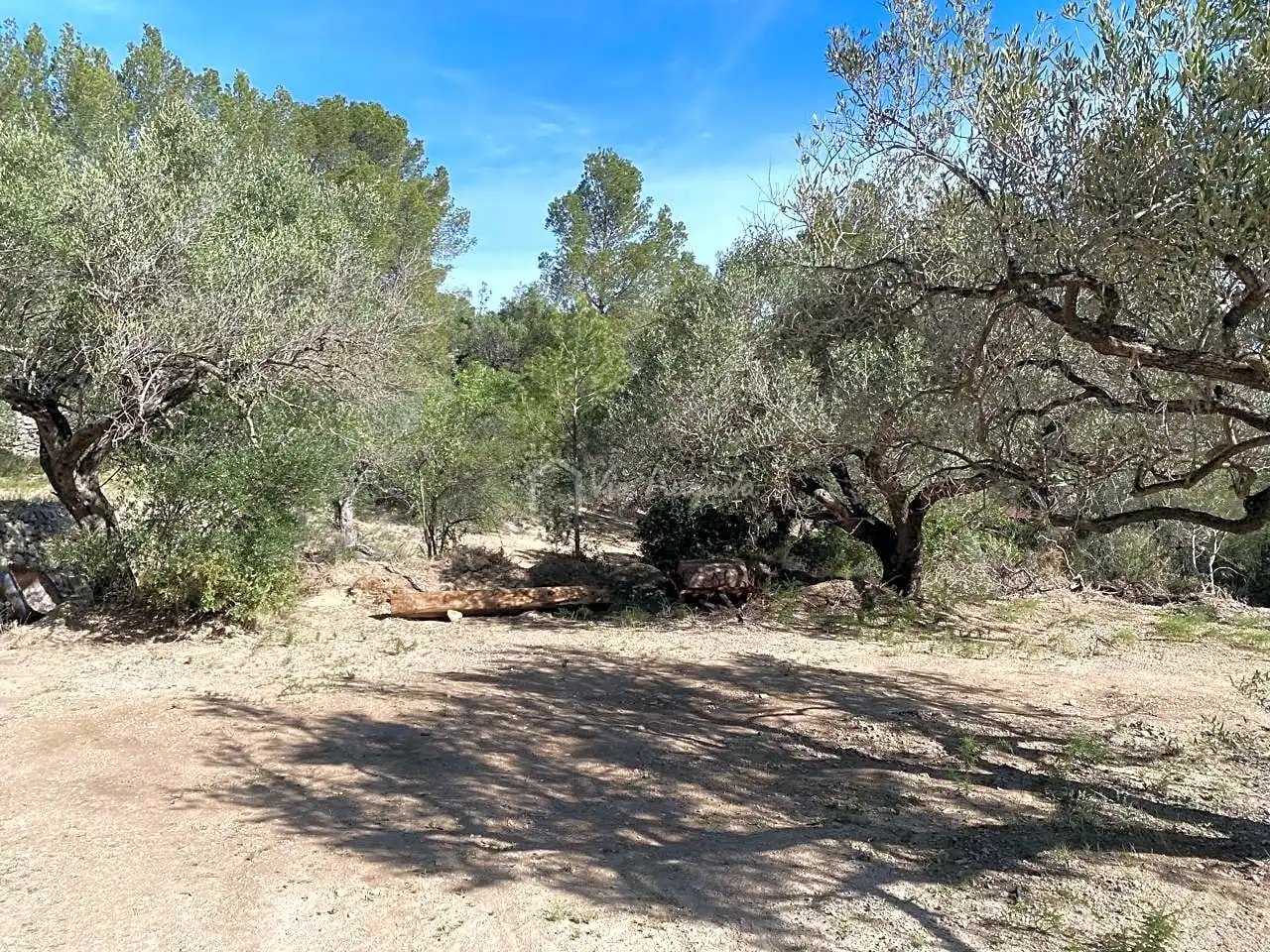 Terrain rustique à vendre à La Baixada, imagen 10