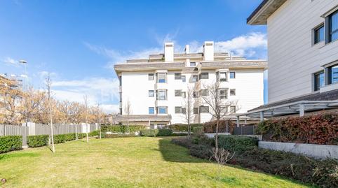 Foto 2 de Apartament de lloguer a Arroyo de la Vega, Madrid