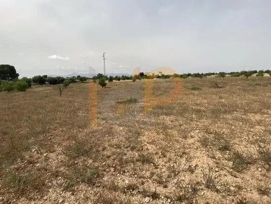 Rural land for sale in Huércal-Overa, imagen 11