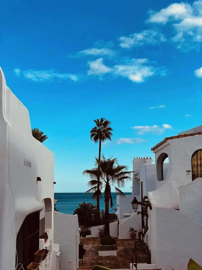 Wohnung mit Terrasse zum Verkauf in Puerto de la Duquesa, imagen 15