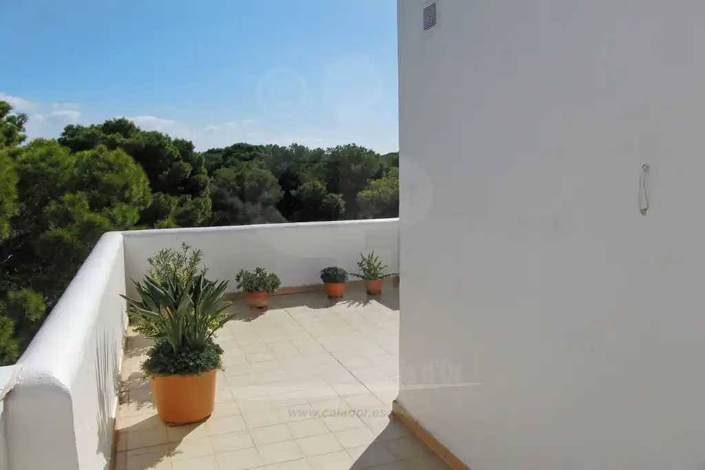 Apartamento en venta en Cala d'Or