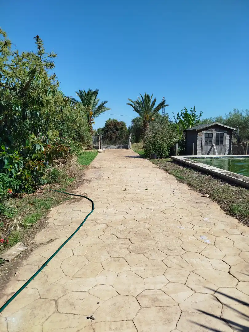 Jardí de Casa o xalet en venda en Benicarló amb Aire condicionat, Calefacció i Jardí privat