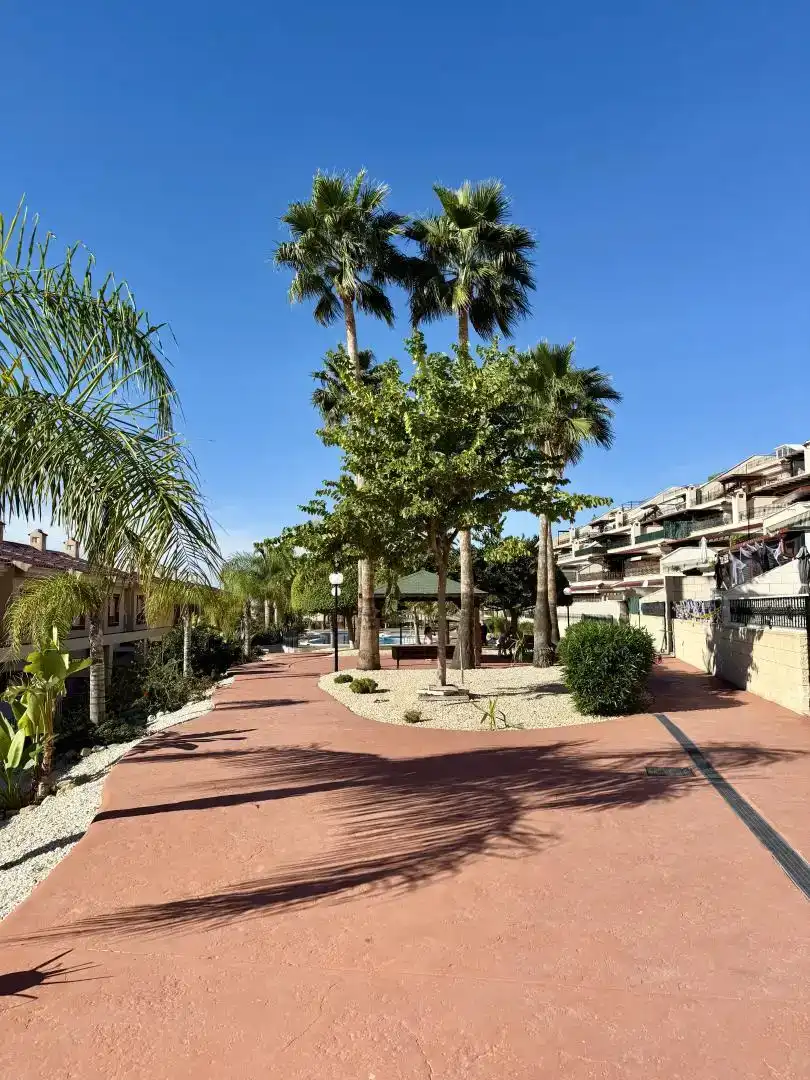 Vista exterior de Planta baja en venta en Mutxamel con Aire acondicionado y Piscina