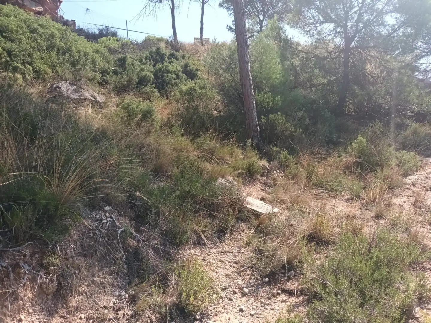 Residential for sale in La Pobla de Claramunt