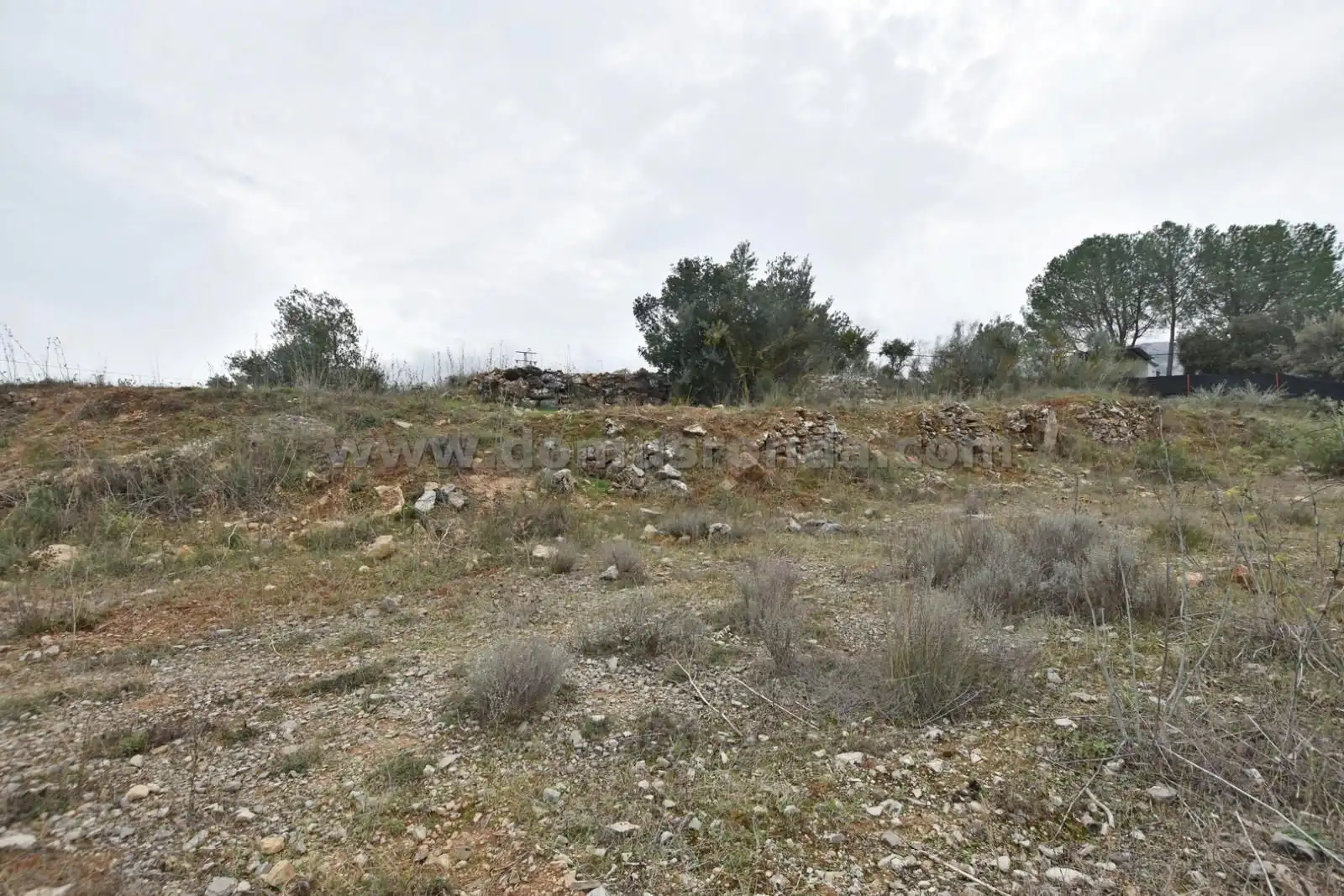 Terreno en venta en Ronda