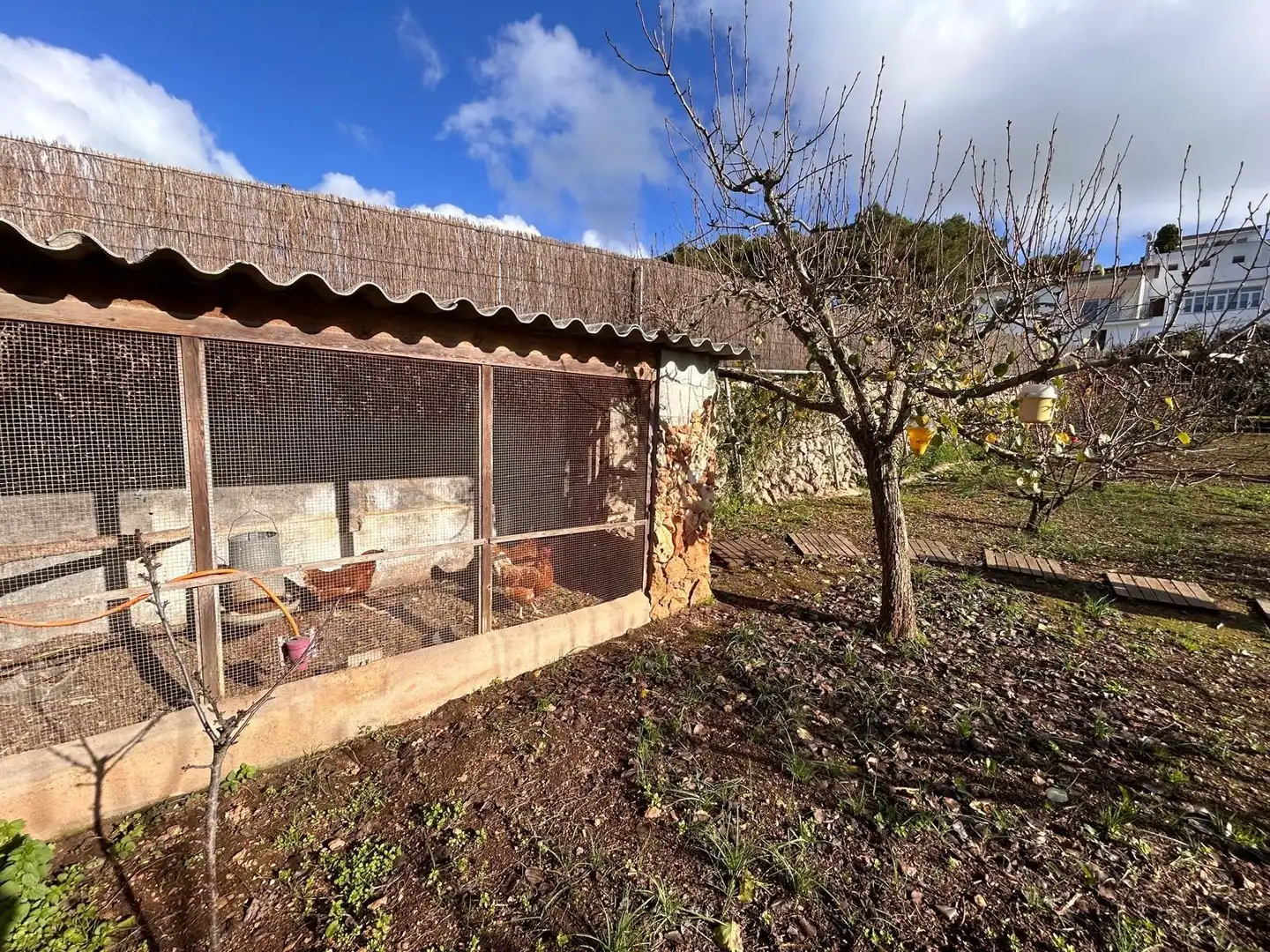 Jardín de Casa adosada en venta en Alaior con Aire acondicionado, Calefacción y Jardín privado