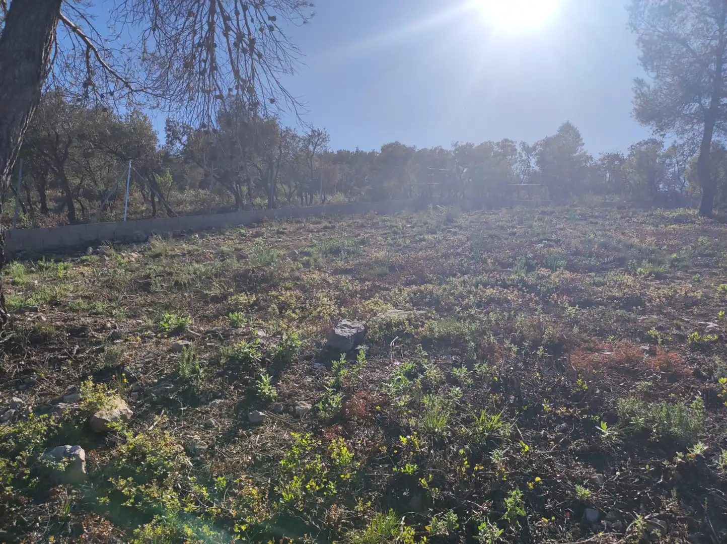 Terreno residencial en venta en Calle Nueva Sierra Bo 109, imagen 2