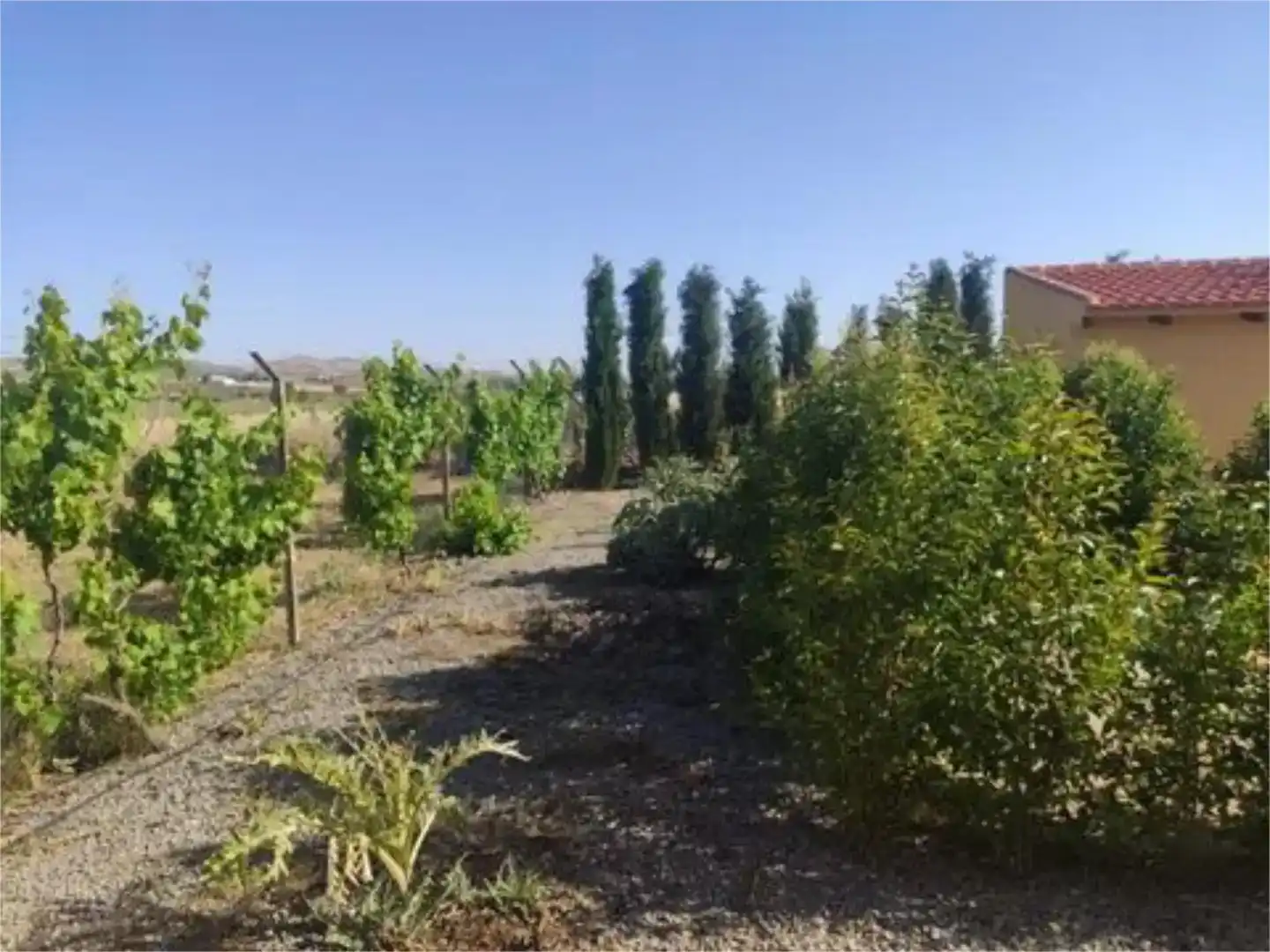 Finca rústica en venda en Consuegra amb Jardí privat i Moblat
